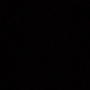 Meet your Posher, Julian